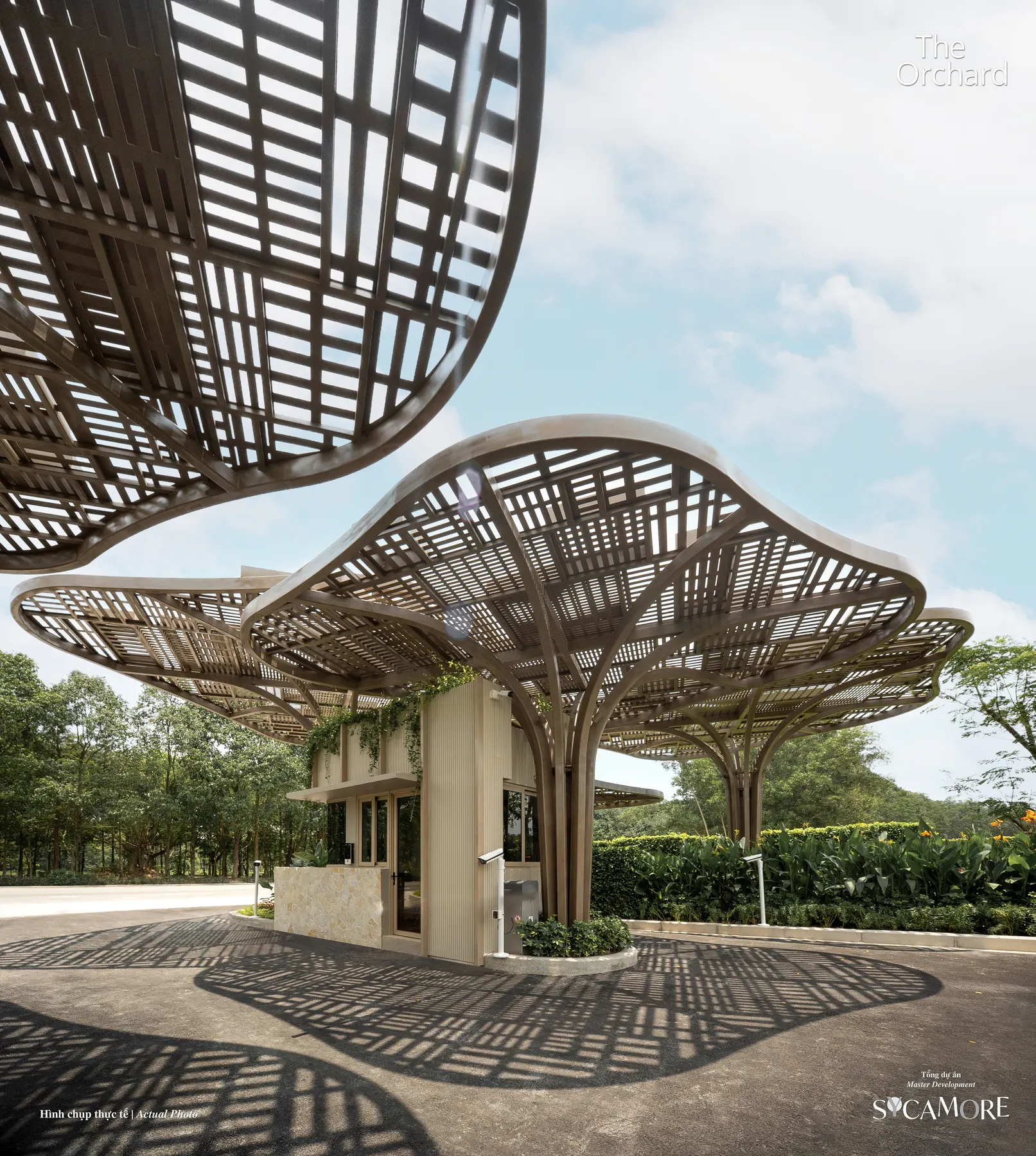 Tán vòm cổng chào The Orchard nhìn từ dưới lên, ảnh thực tế