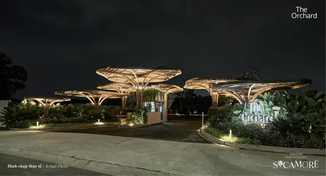 Cổng chào lên đèn