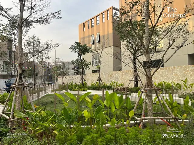 Công viên thú cưng Paws Park, ảnh tiến độ