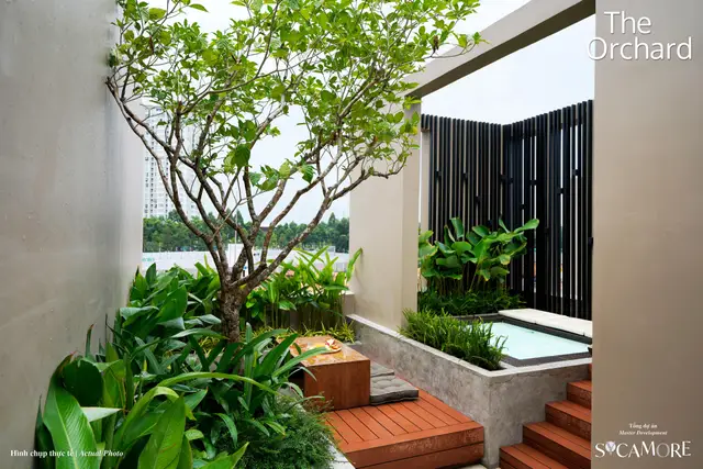 Bể sục trên mái nhà mẫu biệt thự đơn lập