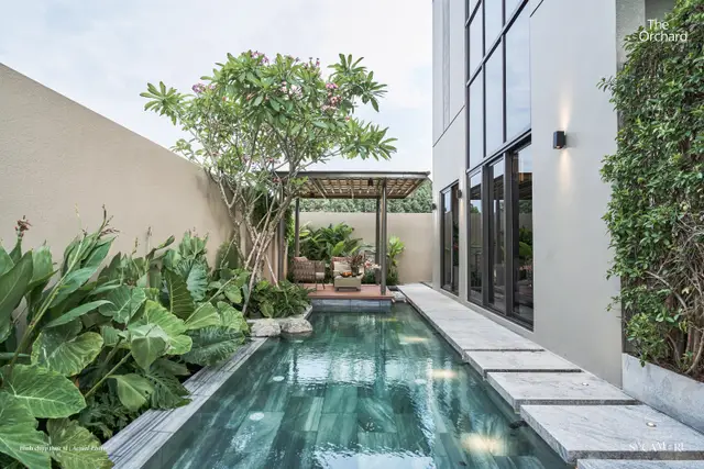 Bể bơi sân sau nhà phố góc